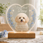 Dog Memorial Night Light, Personalized Pet Loss Acrylic Plaque, Custom Photo Remembrance Sign, Sympathy Gift for Her