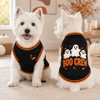 Boo Crew Pet Jersey, Halloween Dog Shirt, Cute Ghost Pet Outfit, Black Orange Spooky Dog Jersey, Halloween Pet Gift