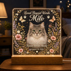 Pet Memorial Night Light, Personalized Cat Memorial Plaque, Custom Photo Acrylic Sign, Loss of Pet Keepsake, Sympathy Gift for Her
