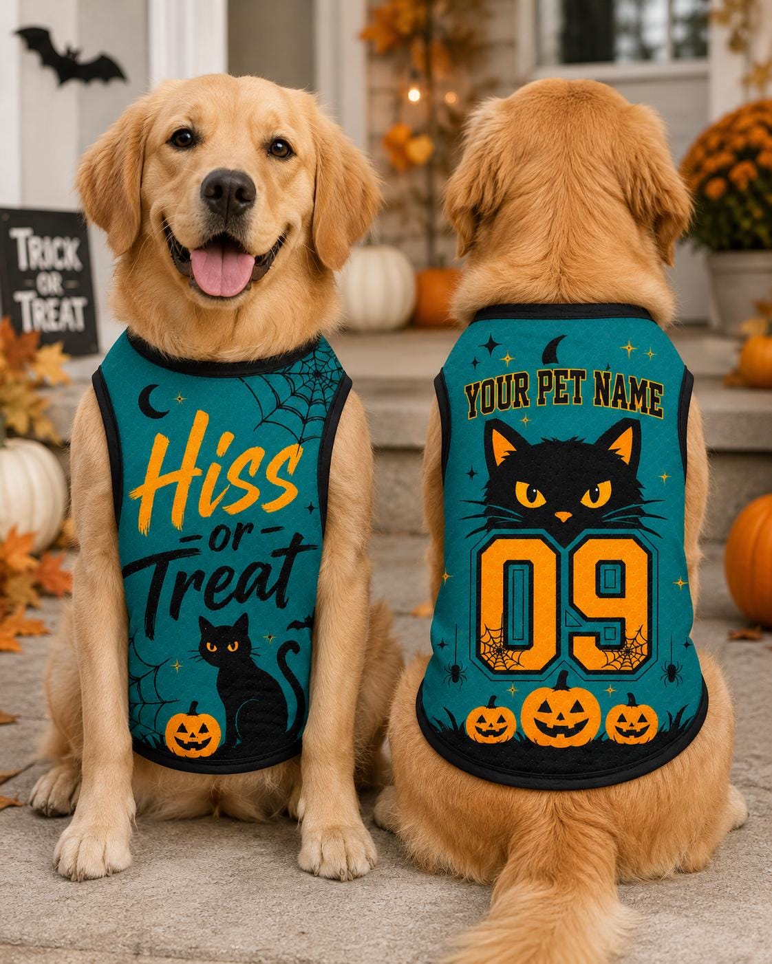 Halloween Pet Jersey, Personalized Cat Dog Name Number Shirt, Hiss or Treat Costume, Black Cat Pumpkin Outfit, Spooky Pet Apparel
