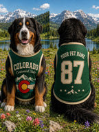Colorado Centennial State Pet Jersey, Personalized Dog Name Number Shirt, Rocky Mountain Pet Outfit, Colorado Dog Gift
