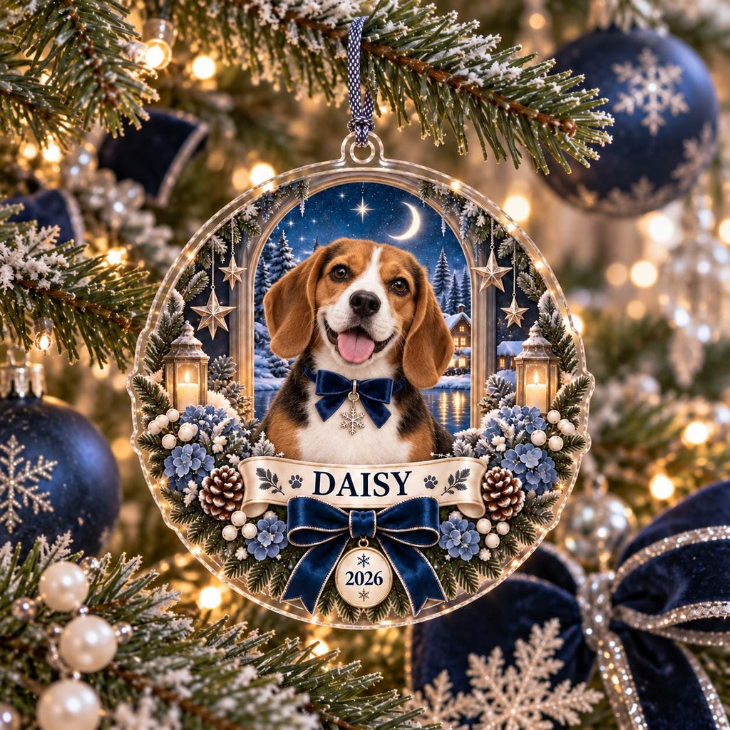 Winter Cat Ornament, Personalized Acrylic Christmas Keepsake, Custom Pet Name Year Decor, Cat Lover Holiday Gift