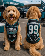 Sunday Barkball Pet Jersey, Custom Dog Name Number Shirt, American Football Puppy Outfit, Game Day Pet Apparel, Sports Fan Gift