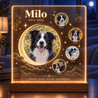 Dog Memorial Night Light, Custom Pet Photo Acrylic Plaque, Personalized Moon Pet Memory Lamp, Pet Loss Keepsake, Sympathy Gift for Dog Owner