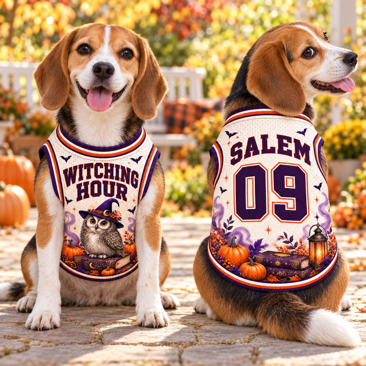 Witch Owl Pet Jersey, Personalized Halloween Dog Shirt, Custom Name Number, Salem Witching Hour Outfit, Spooky Pet Gift