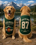Colorado Centennial State Pet Jersey, Personalized Dog Name Number Shirt, Rocky Mountain Pet Outfit, Colorado Dog Gift