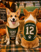 Game Day Hound Pet Jersey, Personalized Dog Name Number Shirt, American Football Puppy Outfit, Tailgate Pet Apparel, Sports Fan Gift