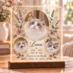 Ragdoll Cat Memorial Light, Custom Pet Photo Acrylic Plaque, Personalized Floral Remembrance Lamp, Cat Loss Sympathy Gift