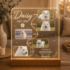 Pet Memory Timeline Lamp, Custom Dog Photo Acrylic Plaque, Personalized Life Story Light, Pet Remembrance Keepsake, Gift for Dog Parents