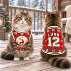 Snow Day Pet Jersey, Personalized Dog Name Number Shirt, Christmas Reindeer Pet Top, Holiday Sweater Style Outfit, Custom Dog Gift