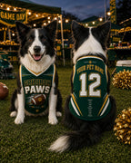 Gridiron Paws Pet Jersey, Custom Dog Name Number Shirt, American Football Puppy Outfit, Game Day Pet Apparel, Sports Fan Gift