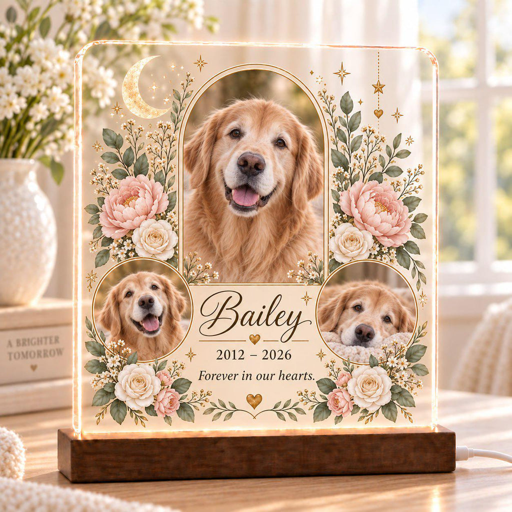 Celestial Pet Memorial Lamp, Custom Pet Photo Acrylic Plaque, Personalized Cat Remembrance Light, Pet Loss Sympathy Gift