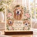 Celestial Pet Memorial Lamp, Custom Pet Photo Acrylic Plaque, Personalized Cat Remembrance Light, Pet Loss Sympathy Gift
