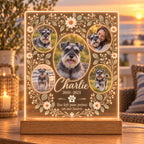 Custom Pet Memorial Lamp, Personalized Dog Photo Acrylic Plaque, Rainbow Bridge Pet Remembrance Light, Sympathy Gift for Pet Owner
