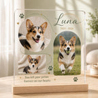 Custom Pet Photo Plaque, Golden Retriever Memorial Acrylic Sign, Personalized Dog Keepsake, Pet Loss Gift for Dog Parents