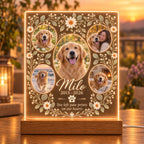 Custom Pet Memorial Lamp, Personalized Dog Photo Acrylic Plaque, Rainbow Bridge Pet Remembrance Light, Sympathy Gift for Pet Owner