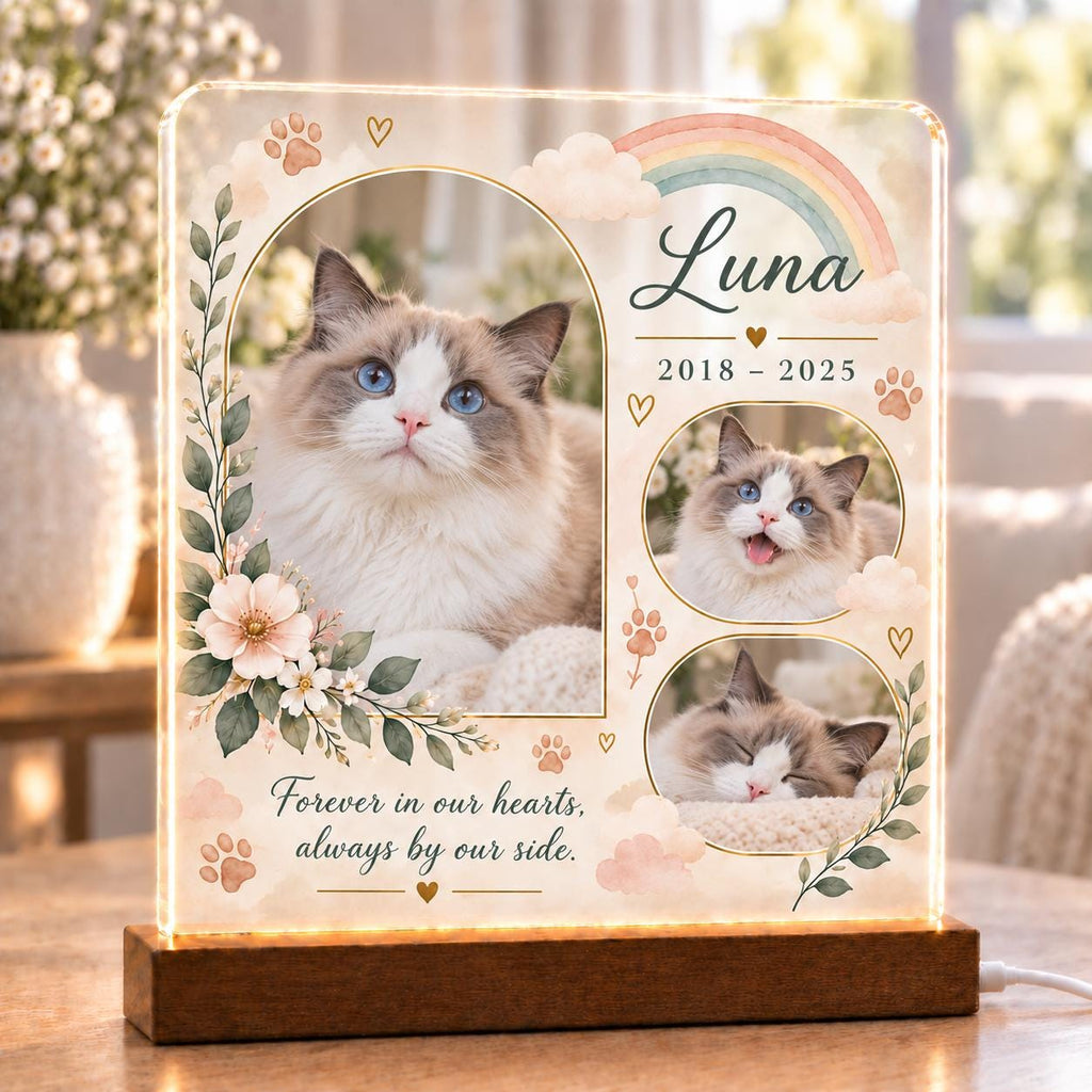 Cat Memorial Lamp, Custom Pet Photo Acrylic Plaque, Personalized Rainbow Bridge Light, Ragdoll Cat Remembrance Gift, Pet Loss Keepsake