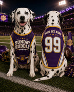 Sunday Huddle Pet Jersey, Personalized Dog Name Number Shirt, American Football Puppy Outfit, Game Day Pet Apparel, Sports Fan Gift