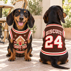 Gingerbread Pet Jersey, Personalized Dog Name Number Shirt, Cookie Crew Christmas Pet Top, Holiday Sports Outfit, Custom Dog Gift