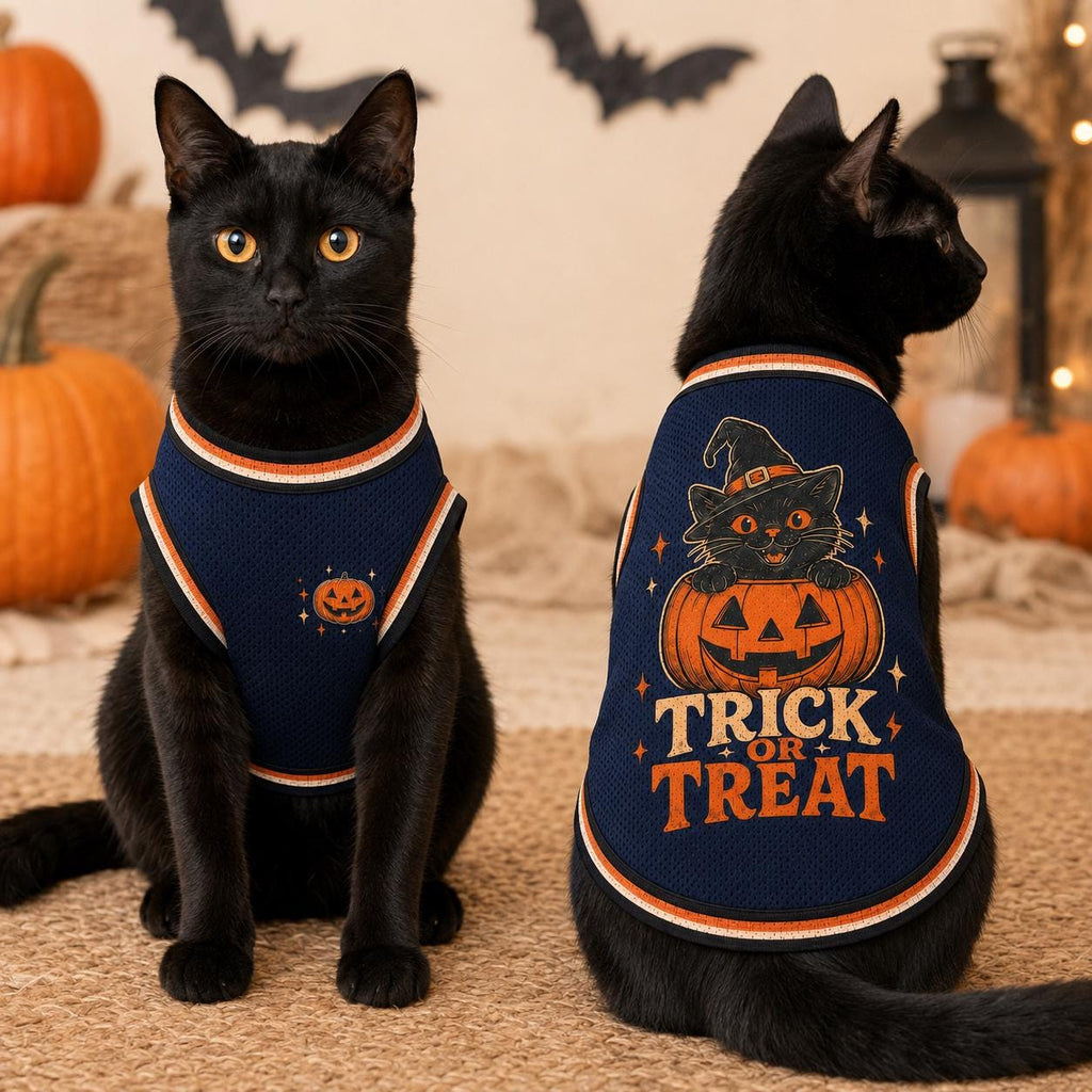 Trick or Treat Pet Jersey, Halloween Dog Shirt, Black Cat Pumpkin Costume, Spooky Pet Sports Top, Fall Pet Outfit, Pet Lover Gift