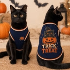 Trick or Treat Pet Jersey, Halloween Dog Shirt, Black Cat Pumpkin Costume, Spooky Pet Sports Top, Fall Pet Outfit, Pet Lover Gift