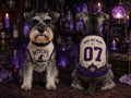 Witchy Pup Pet Jersey, Personalized Dog Name Number Shirt, Halloween Witch Costume, Spooky Season Pet Outfit, Dog Lover Gift
