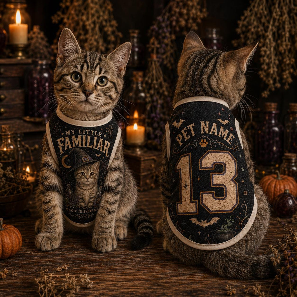 Little Familiar Pet Jersey, Personalized Witch Dog Shirt, Custom Pet Name Number Halloween Vest, Magic in Every Paw Pet Outfit
