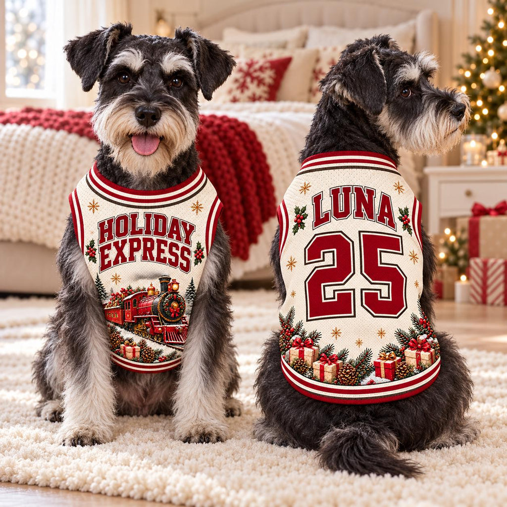Holiday Express Pet Jersey, Personalized Dog Name Number Shirt, Christmas Train Pet Outfit, Custom Holiday Dog Gift