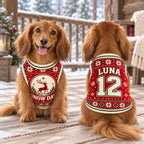 Snow Day Pet Jersey, Personalized Dog Name Number Shirt, Christmas Reindeer Pet Top, Holiday Sweater Style Outfit, Custom Dog Gift