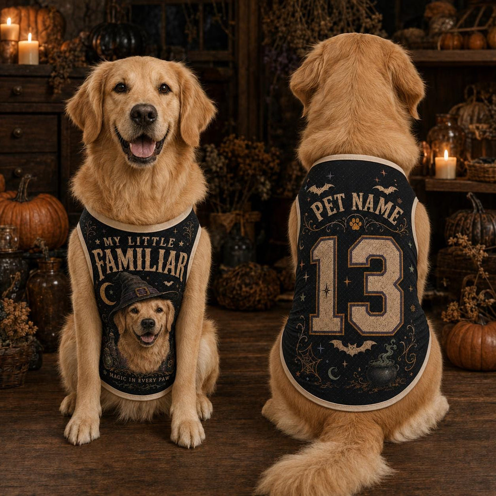 Little Familiar Pet Jersey, Personalized Witch Dog Shirt, Custom Pet Name Number Halloween Vest, Magic in Every Paw Pet Outfit