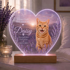 Cat Loss Night Light, Personalized Pet Photo Acrylic Lamp, Lavender Remembrance Plaque, Custom Cat Keepsake, Gift for Cat Mom