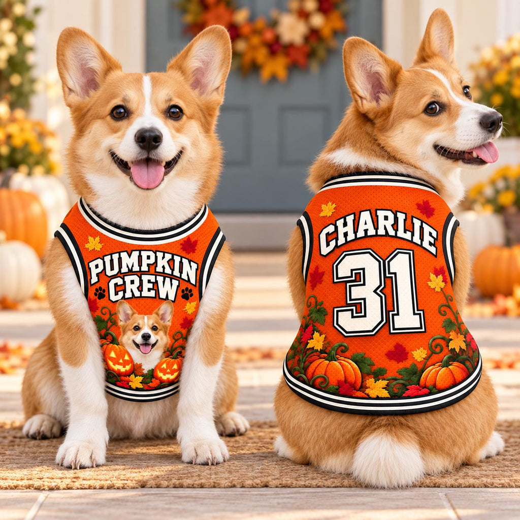 Pumpkin Crew Pet Jersey, Personalized Dog Name Number Shirt, Black Cat Halloween Outfit, Custom Fall Pet Gift
