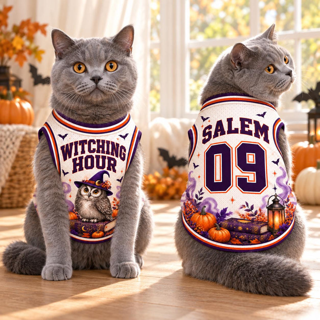 Witch Owl Pet Jersey, Personalized Halloween Dog Shirt, Custom Name Number, Salem Witching Hour Outfit, Spooky Pet Gift