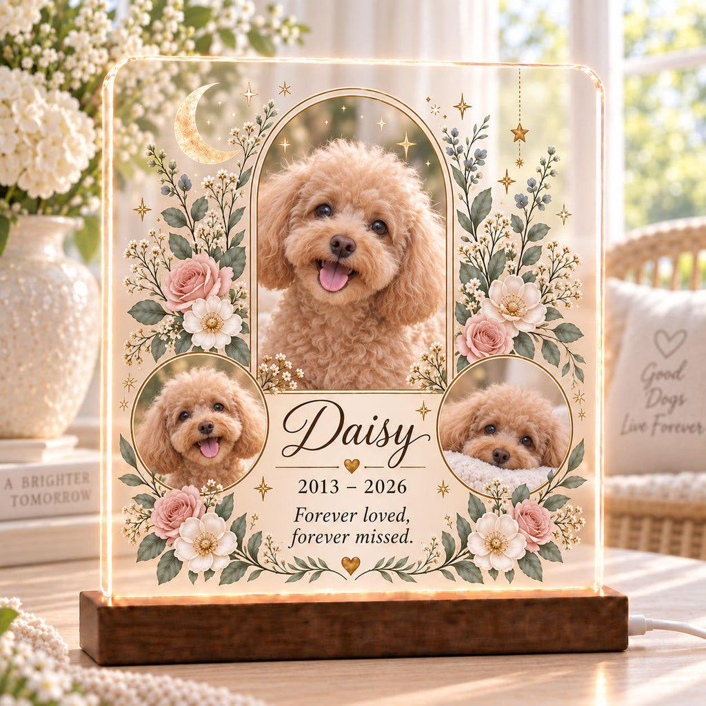 Celestial Pet Memorial Lamp, Custom Pet Photo Acrylic Plaque, Personalized Cat Remembrance Light, Pet Loss Sympathy Gift