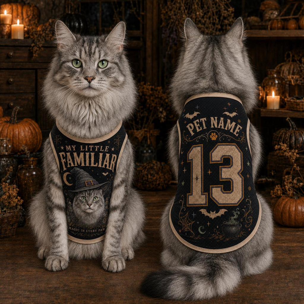 Little Familiar Pet Jersey, Personalized Witch Dog Shirt, Custom Pet Name Number Halloween Vest, Magic in Every Paw Pet Outfit