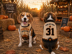 Pumpkin Patch Pup Pet Jersey, Personalized Dog Name Number Shirt, Halloween Dog Costume, Fall Pet Outfit, Pumpkin Lover Gift