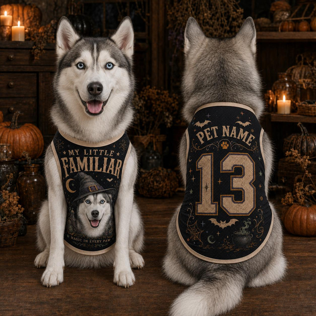 Little Familiar Pet Jersey, Personalized Witch Dog Shirt, Custom Pet Name Number Halloween Vest, Magic in Every Paw Pet Outfit
