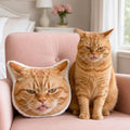 Funny Cat Face Pillow, Custom Pet Photo Cushion, Personalized Cat Head Pillow, Orange Tabby Keepsake, Cat Lover Gift