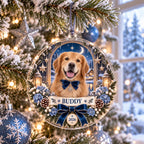 Winter Cat Ornament, Personalized Acrylic Christmas Keepsake, Custom Pet Name Year Decor, Cat Lover Holiday Gift
