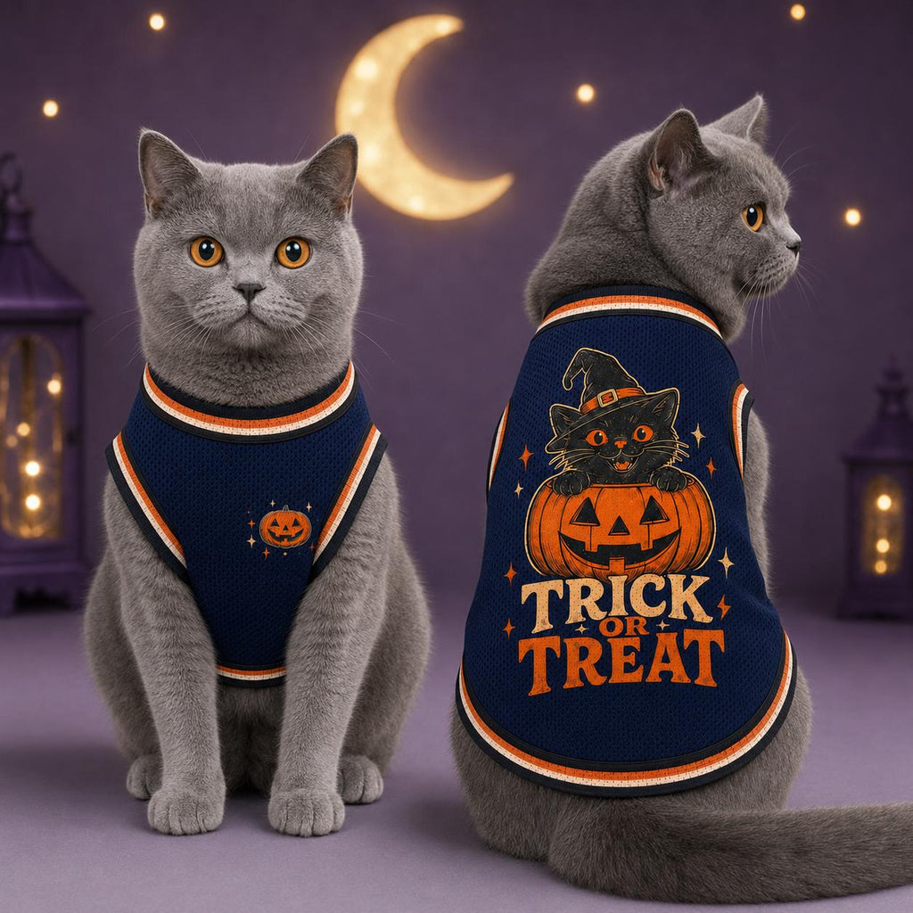 Trick or Treat Pet Jersey, Halloween Dog Shirt, Black Cat Pumpkin Costume, Spooky Pet Sports Top, Fall Pet Outfit, Pet Lover Gift