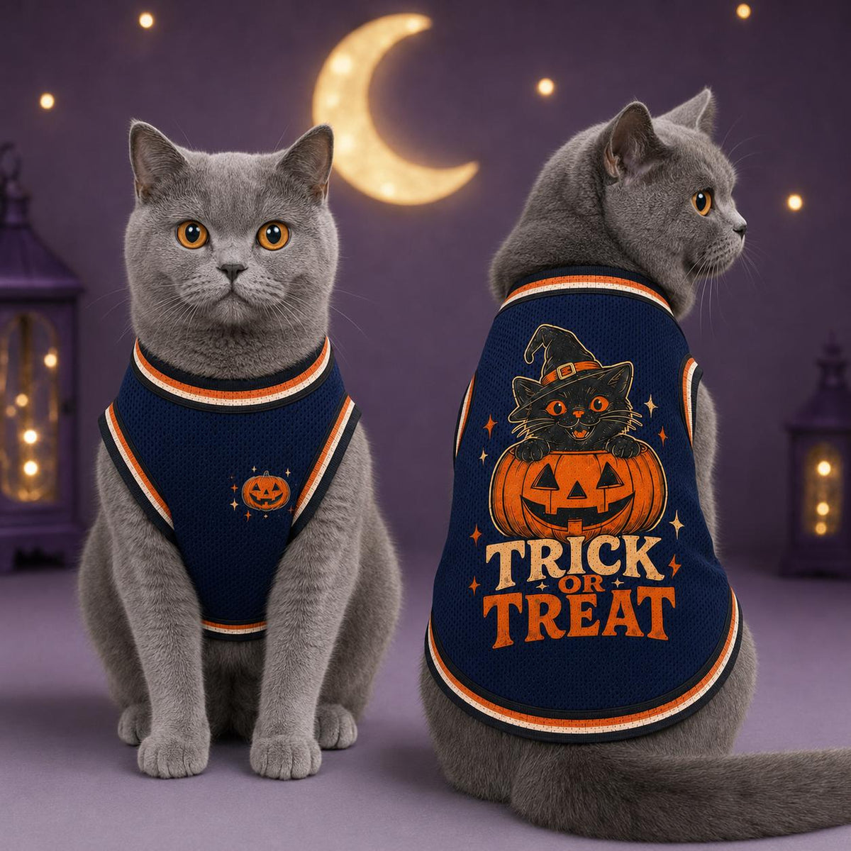 Trick or Treat Pet Jersey, Halloween Dog Shirt, Black Cat Pumpkin Costume, Spooky Pet Sports Top, Fall Pet Outfit, Pet Lover Gift
