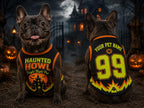 Haunted Howl Dog Jersey, Personalized Pet Name Number Shirt, Fright Night Pup Halloween Costume, Spooky Haunted House Pet Outfit