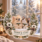 First Christmas Pet Ornament, Personalized Dog Cat Acrylic Keepsake, Custom Pet Name Holiday Decor, Pet Parent Christmas Gift