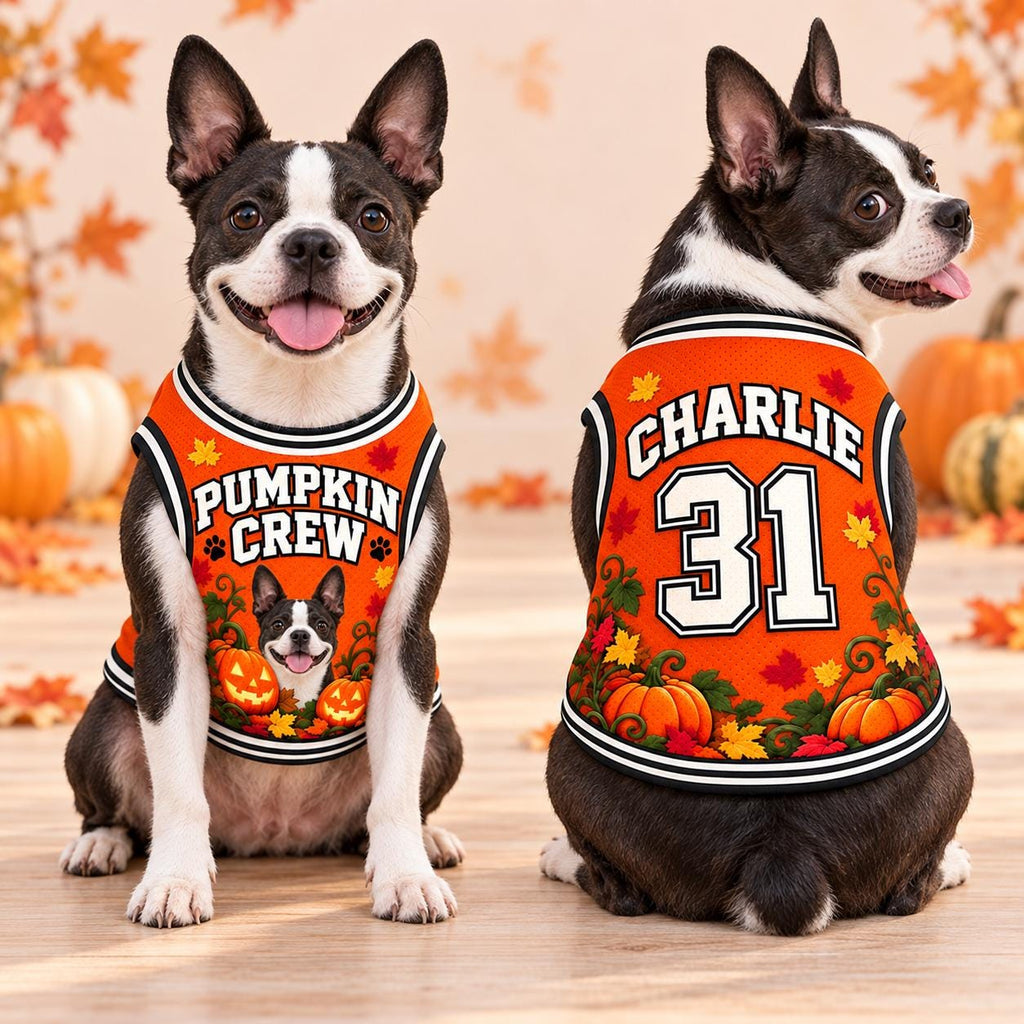 Pumpkin Crew Pet Jersey, Personalized Dog Name Number Shirt, Black Cat Halloween Outfit, Custom Fall Pet Gift