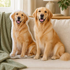 Custom Dog Shaped Pillow, Personalized Pet Portrait Cushion, Golden Retriever Pillow, Photo Pet Keepsake, Dog Lover Memorial Gift