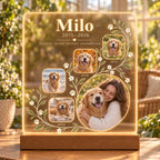 Personalized Pet Memorial Light, Custom Dog Photo Acrylic Plaque, Pet Memory Timeline, Sympathy Gift for Dog Owner