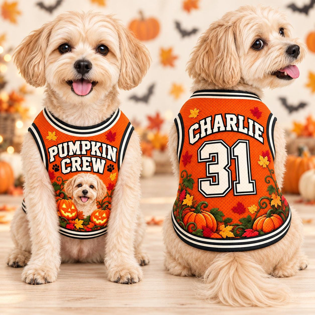 Pumpkin Crew Pet Jersey, Personalized Dog Name Number Shirt, Black Cat Halloween Outfit, Custom Fall Pet Gift