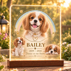 Pet Memorial LED Lamp, Custom Cat Memorial Light, Personalized Pet Loss Gift, Acrylic Photo Keepsake Night Light