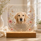 Pet Memorial Night Light, Personalized Cat Memorial Plaque, Custom Photo Acrylic Sign, Loss of Pet Keepsake, Sympathy Gift for Her