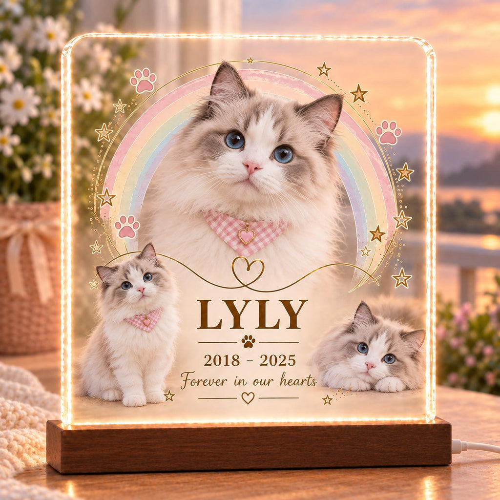 Pet Memorial LED Lamp, Custom Cat Memorial Light, Personalized Pet Loss Gift, Acrylic Photo Keepsake Night Light